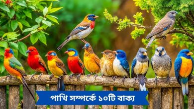 পাখি সম্পর্কে ১০