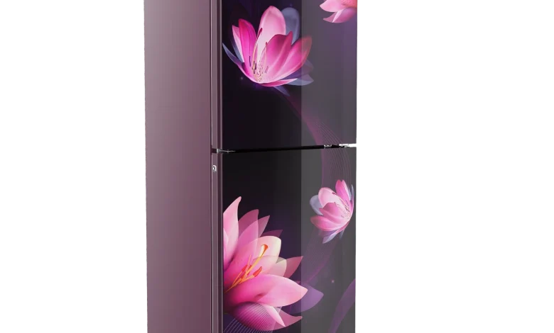 MINISTER M-165N PURPLE MAGNOLIA Price in Bangladesh