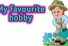 my favourite hobby composition